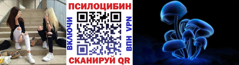 Псилоцибиновые грибы мухоморы  Купить где  Дивногорск 